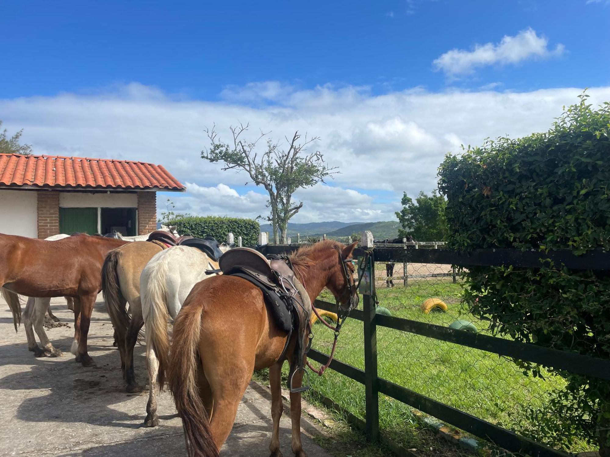 Gravata Flat No Condominio Monte Castelo Melhor Localizacao , Wi-Fi, Sky E Ar 外观 照片